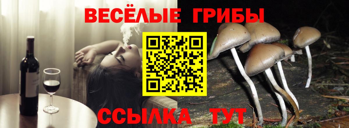 Галлюциногенные грибы Psilocybe  Вход с VPN  Псилоцибиновые грибы Psilocybe  купить наркоту  Балашов 