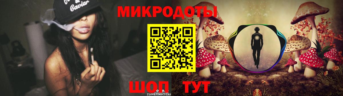 Галлюциногенные грибы Psilocybine cubensis Балашов